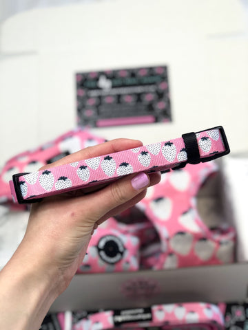 Pawsome Paws Boutique Dog Collar – Sassy Strawbs